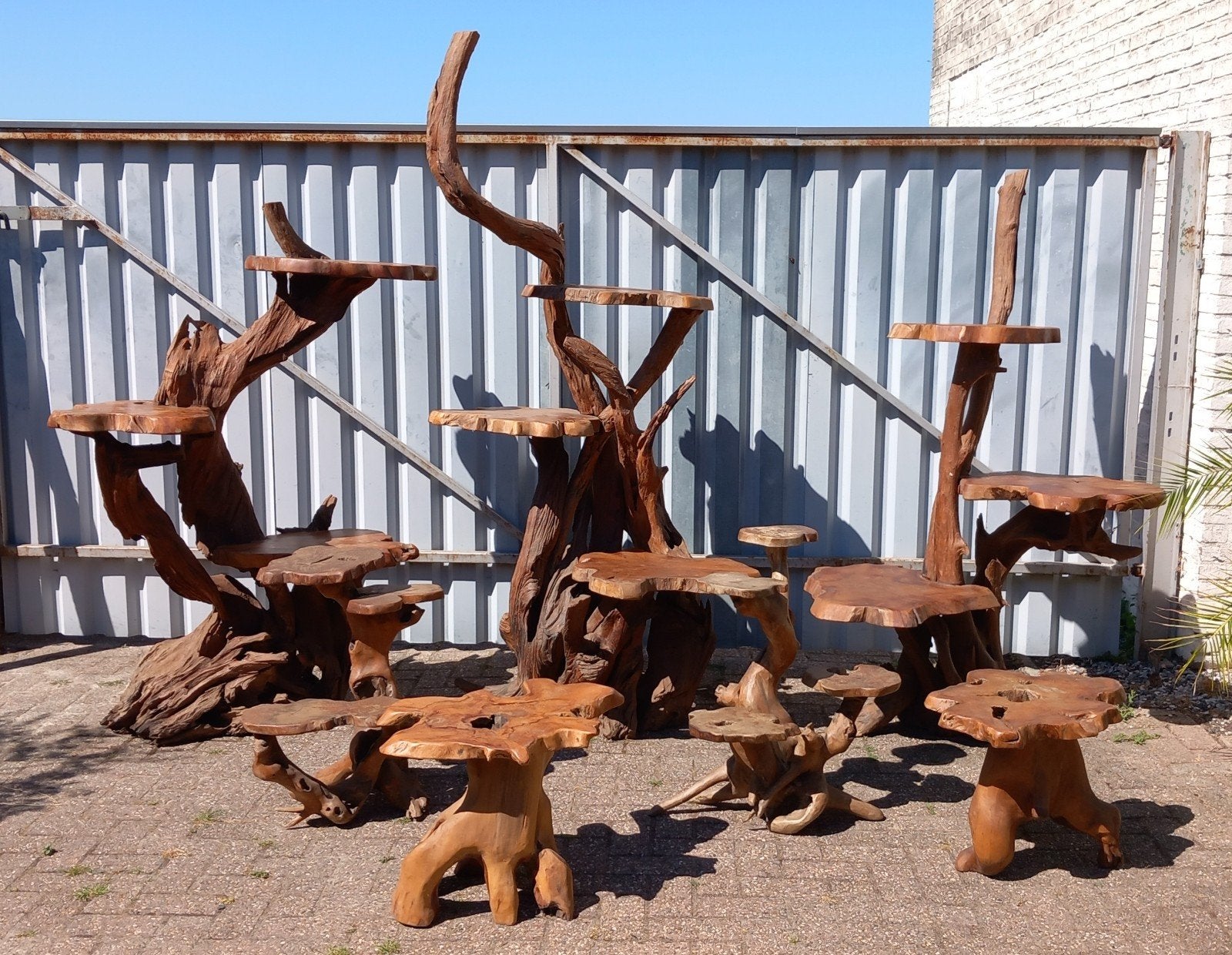 Unieke Teak Wortelhout Display set, Huis en Inrichting, Tafels | Bijzettafels, Ophalen, Minder dan 55 cm, Zo goed als nieuw, Overige vormen