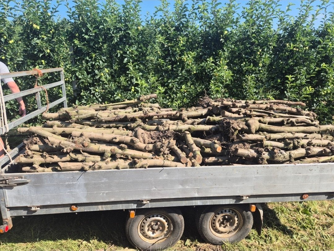 appestammen haardhout, 3 tot 6 m³, Ophalen, Overige houtsoorten, Stammen