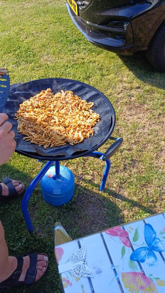 Skottel brai, inclusief draagtas en stander, Ophalen