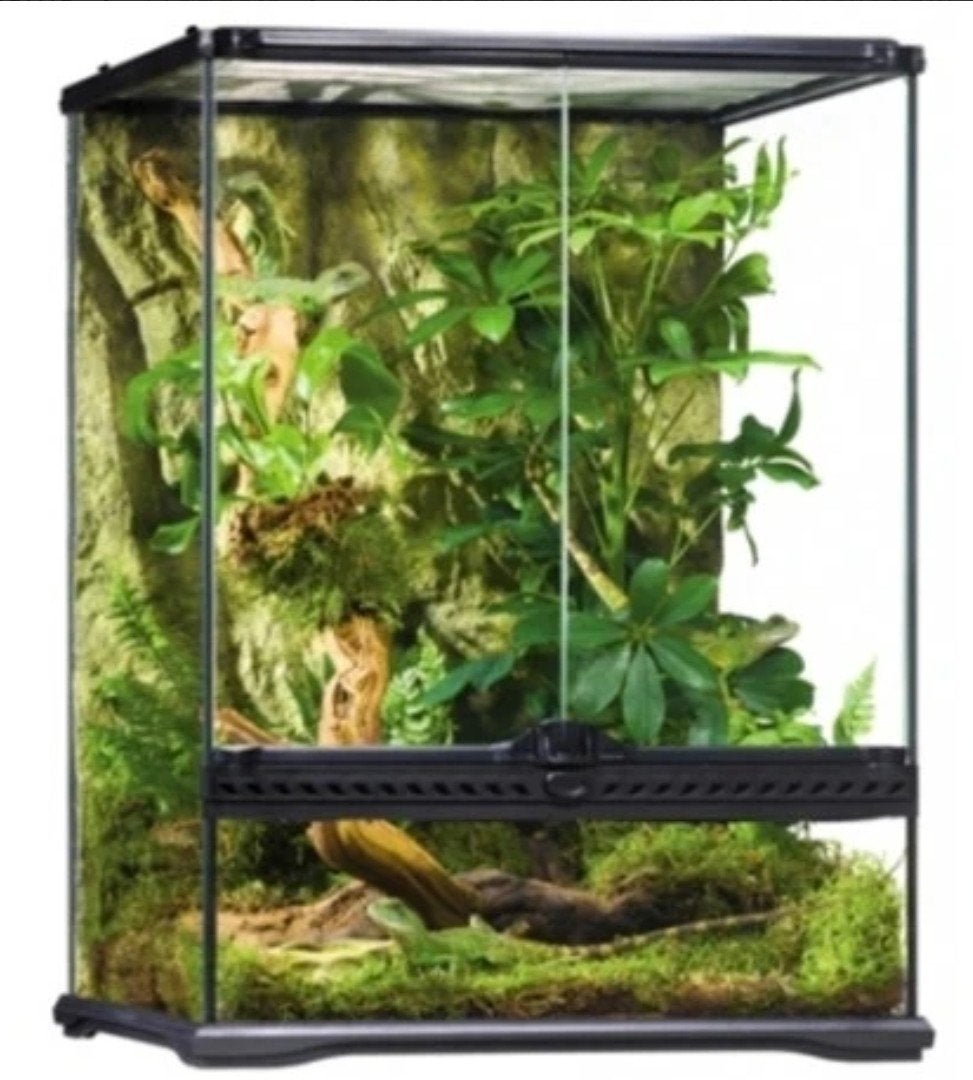Exo terra terrarium 45x45x60 €75, Ophalen, Gebruikt, Terrarium of Paludarium