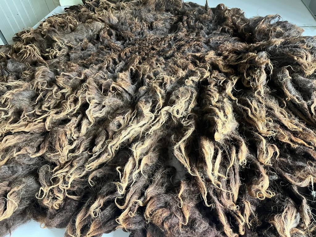 Hele vacht bruin schoon voor spinnen of Vachtvilten, Ophalen of Verzenden, Spinwol