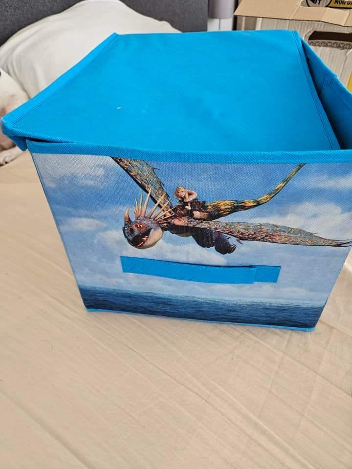 leuke opbergbox  (dv18), Ophalen of Verzenden, Zo goed als nieuw, Overige typen