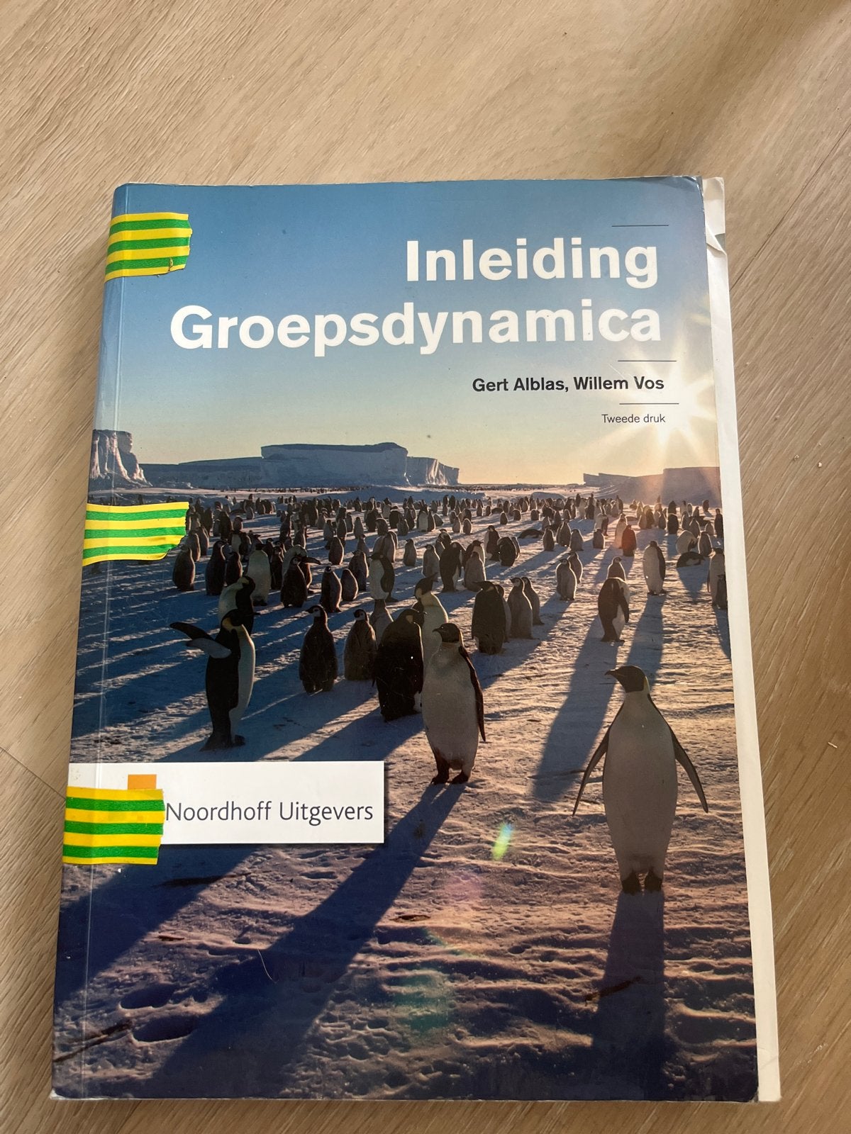 Inleiding Groepsdynamica - Beschadigd exemplaar, Boeken, Studieboeken en Cursussen, Ophalen of Verzenden, Gamma, Gelezen, HBO