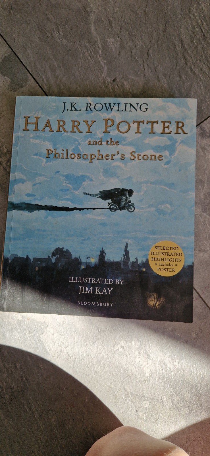 Harry Potter en de Steen der Wijzen - Geïllustreerd, Boeken, Ophalen of Verzenden