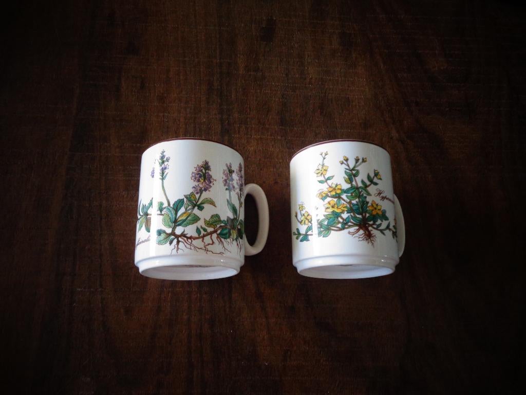 Villeroy & Boch Botanica 2 bekers, DE, Huis en Inrichting, Keuken | Servies, Ophalen of Verzenden, Zo goed als nieuw, Overige stijlen