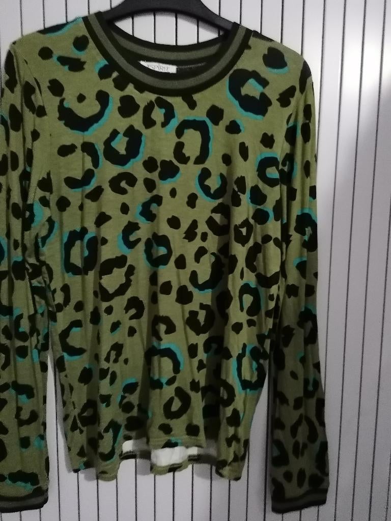 Leuke groen kleurig print Shirt, Kleding | Dames, Truien en Vesten, Ophalen of Verzenden, Zo goed als nieuw, Maat 38/40 (M), Groen
