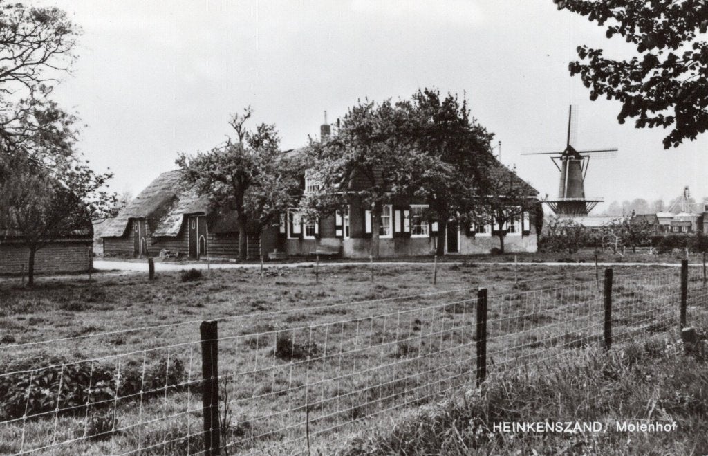 Heinekenszand, Molenhof.(90), Verzenden, 1960 tot 1980, Ongelopen, Zeeland