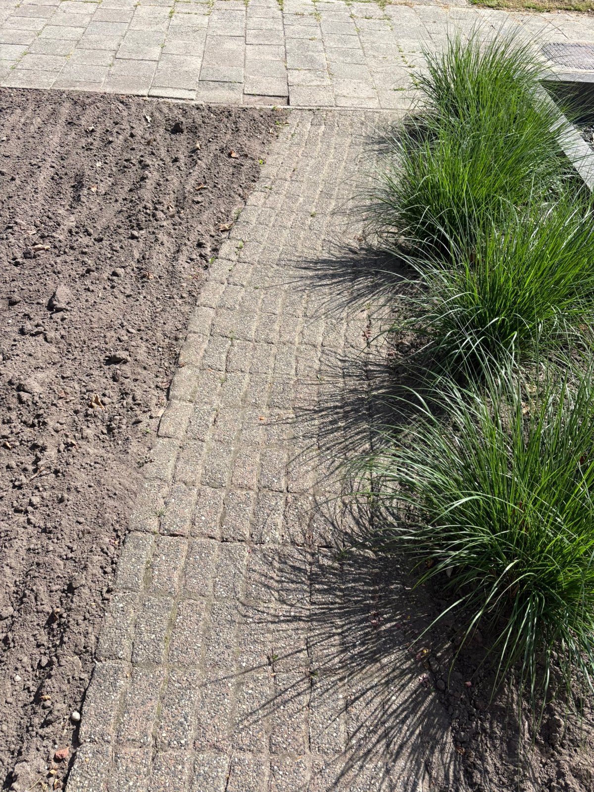 Bestrating pad, Ophalen, Overige soorten, Volle zon