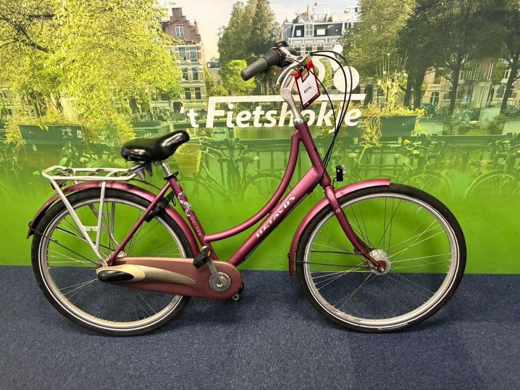 Fietshokje Raaks : Batavus Buster 50 cm
