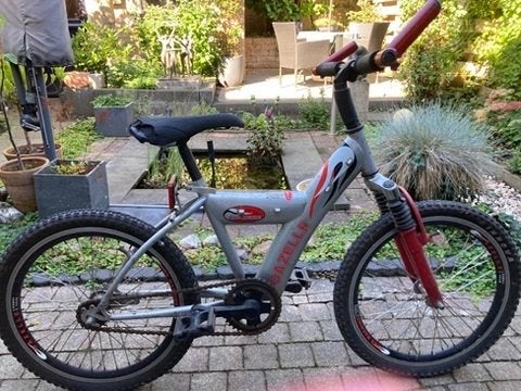Kinder crossfiets, Ophalen, Terugtraprem, Gazelle, 16 tot 20 inch