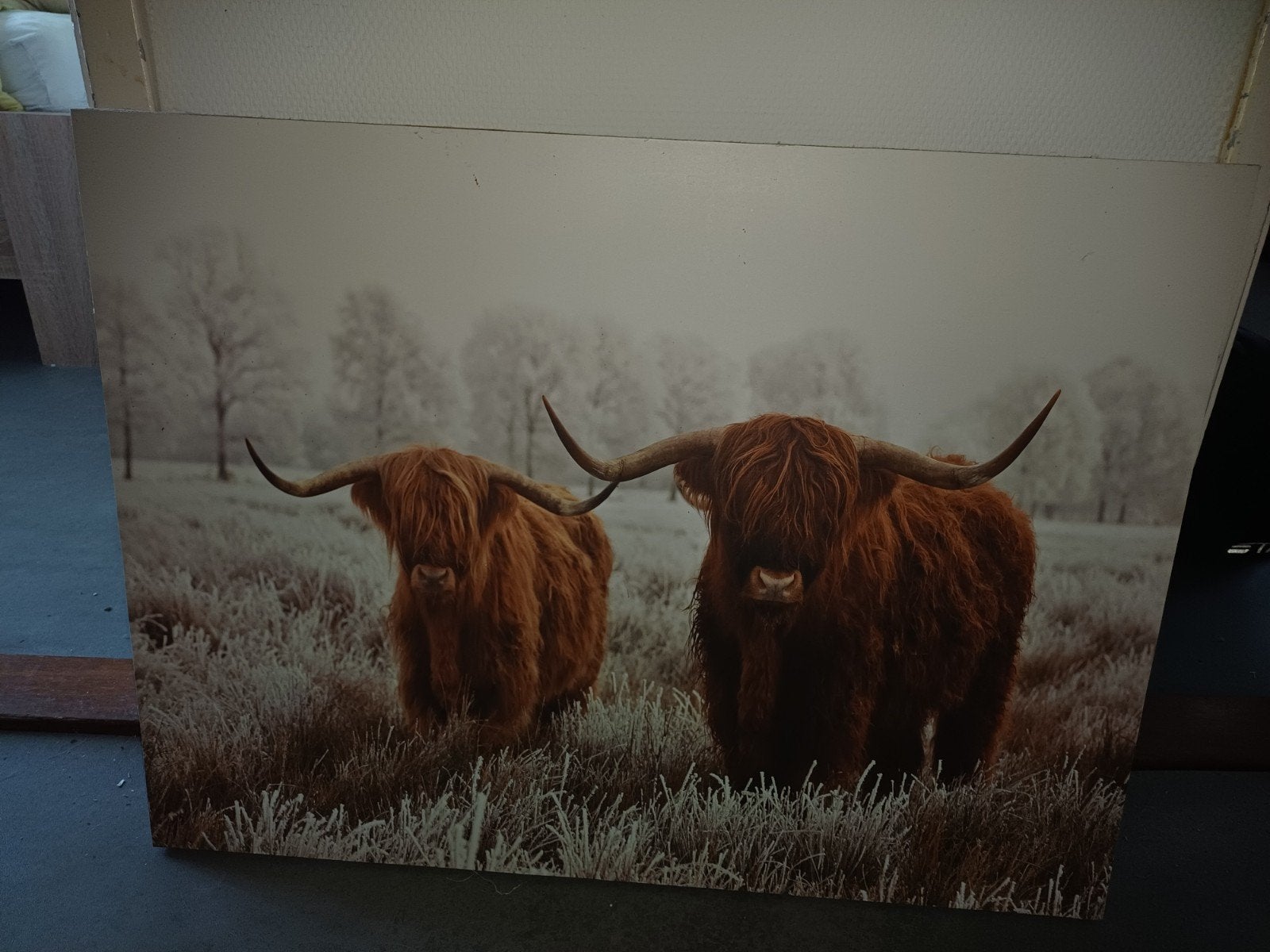 Schilderij Schotse Hooglanders 78x58 cm - Goede staat, Gebruikt, Ophalen of Verzenden, Schilderij, 75 cm of meer