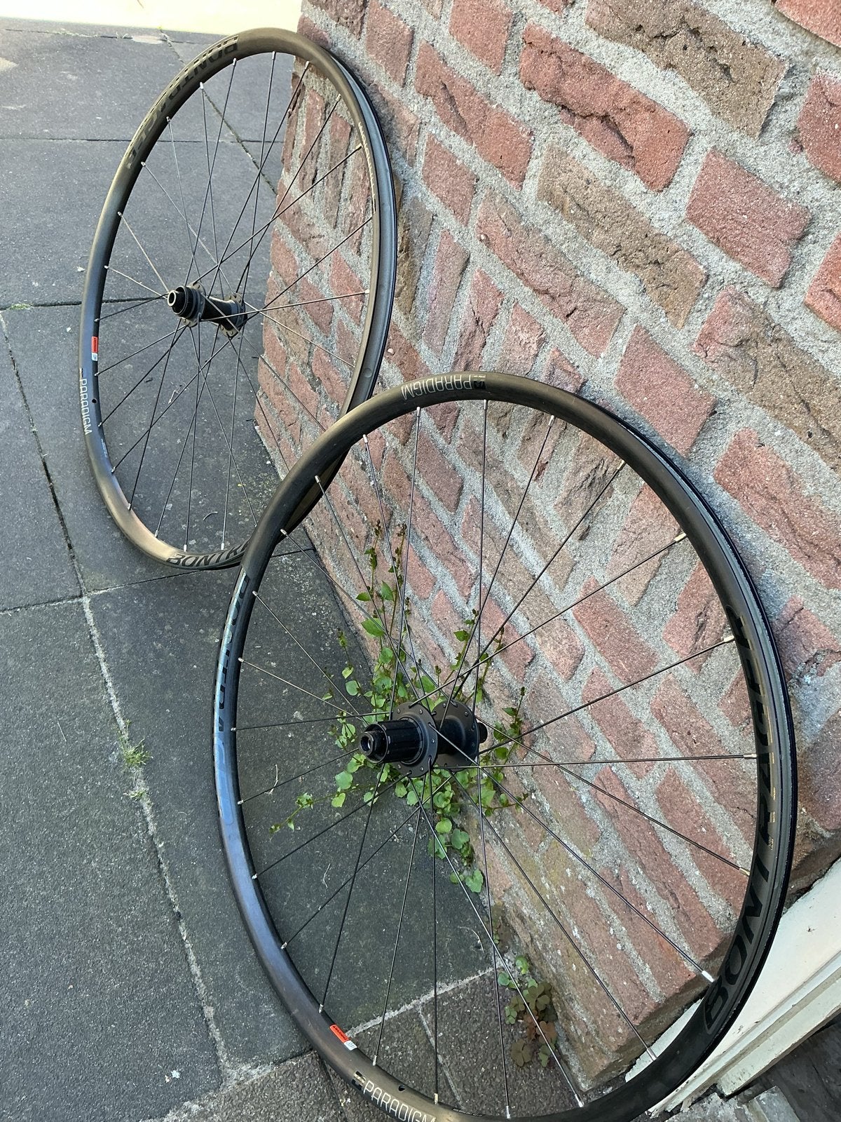 Bontrager Paradigm Comp 25 TLR Disc Wielset, Fietsen en Brommers, Fietsonderdelen, Gebruikt, Wiel, Aluminium, Racefiets, Ophalen of Verzenden