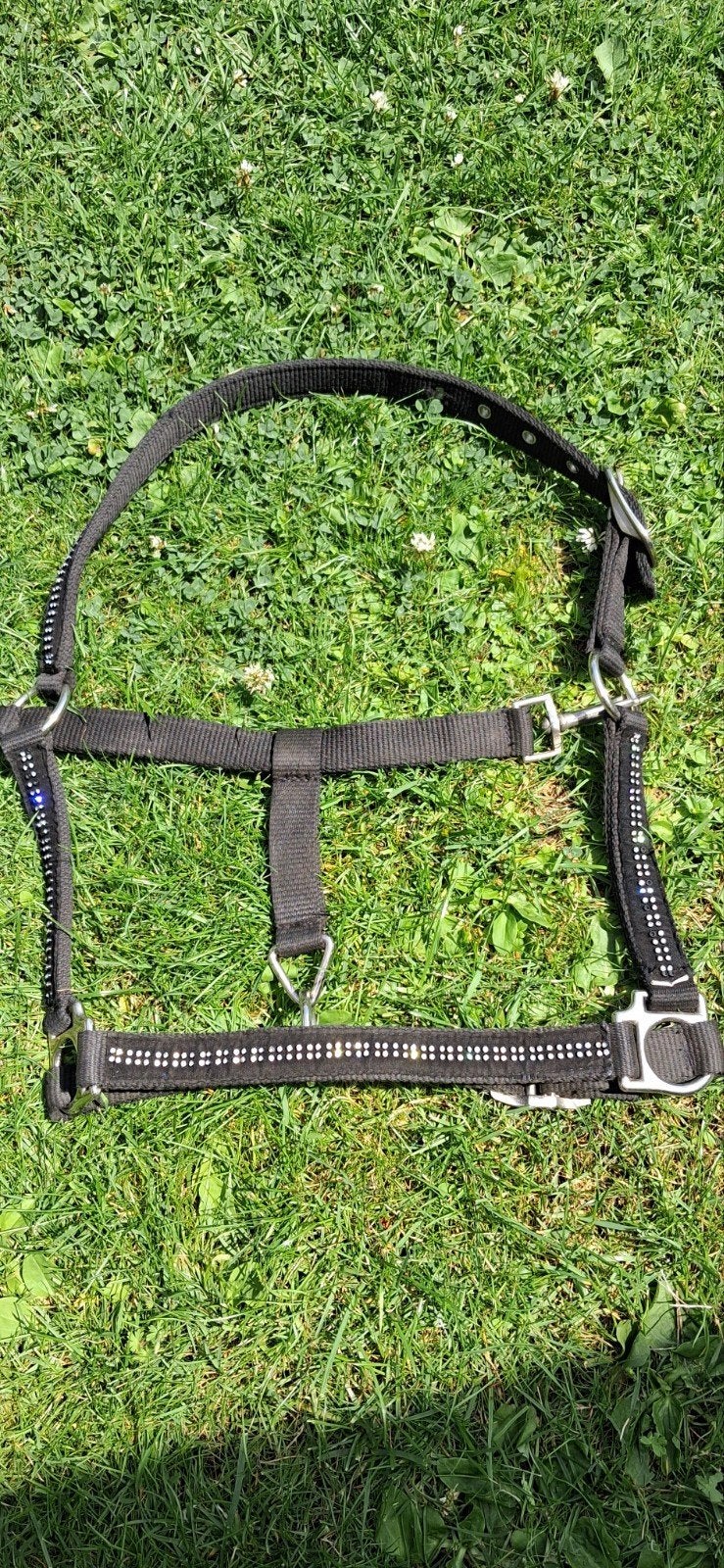 Zwart halster glitter maat pony, Dieren en Toebehoren, Paarden en Pony's | Hoofdstellen en Tuigage, Ophalen, Nieuw, Overige soorten