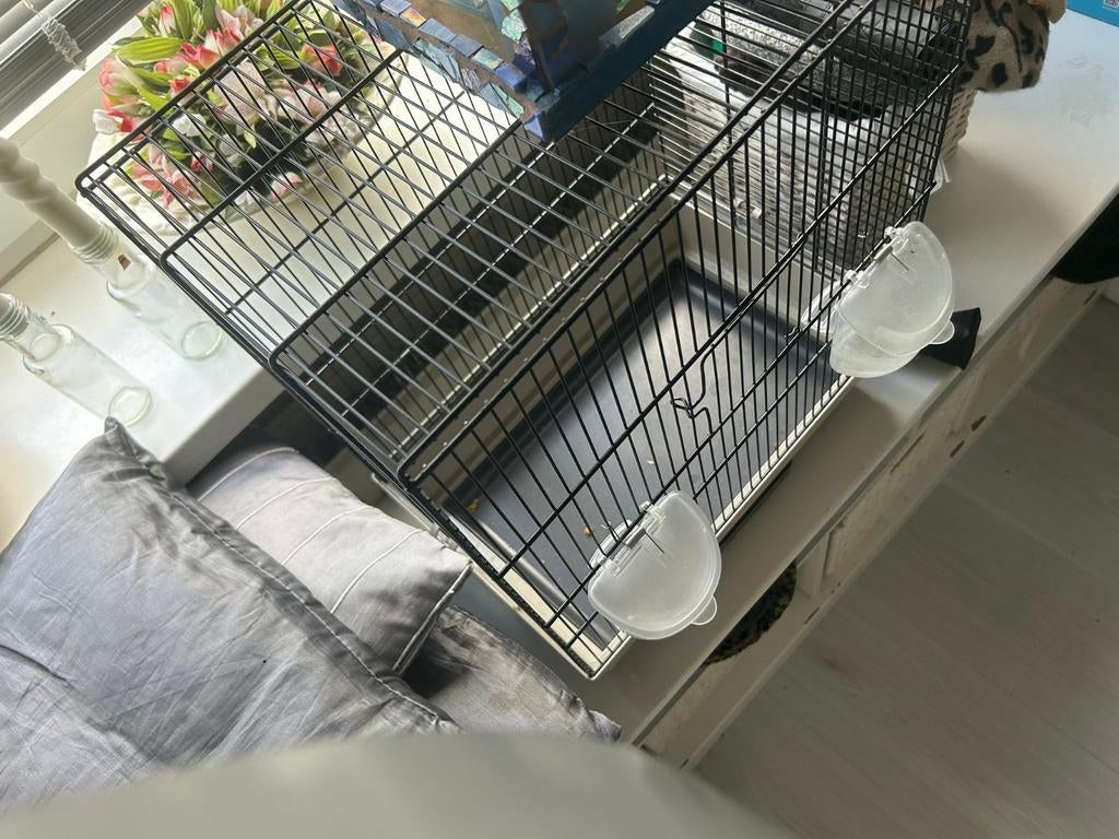 Papegaaien en parkietenkool, Ophalen of Verzenden, Gebruikt