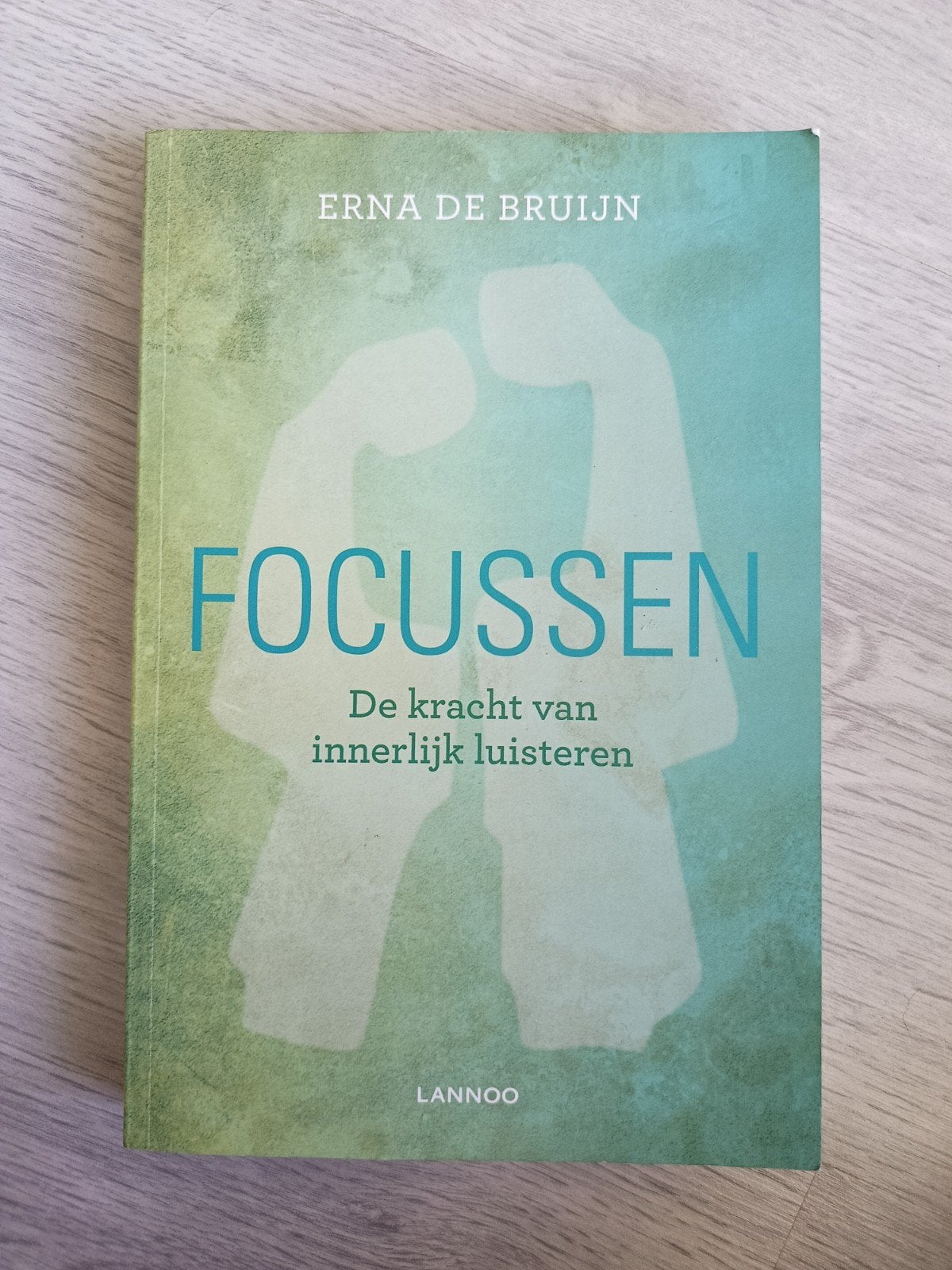 Erna de Bruijn - Focussen, Ophalen of Verzenden, Zo goed als nieuw, Erna de Bruijn