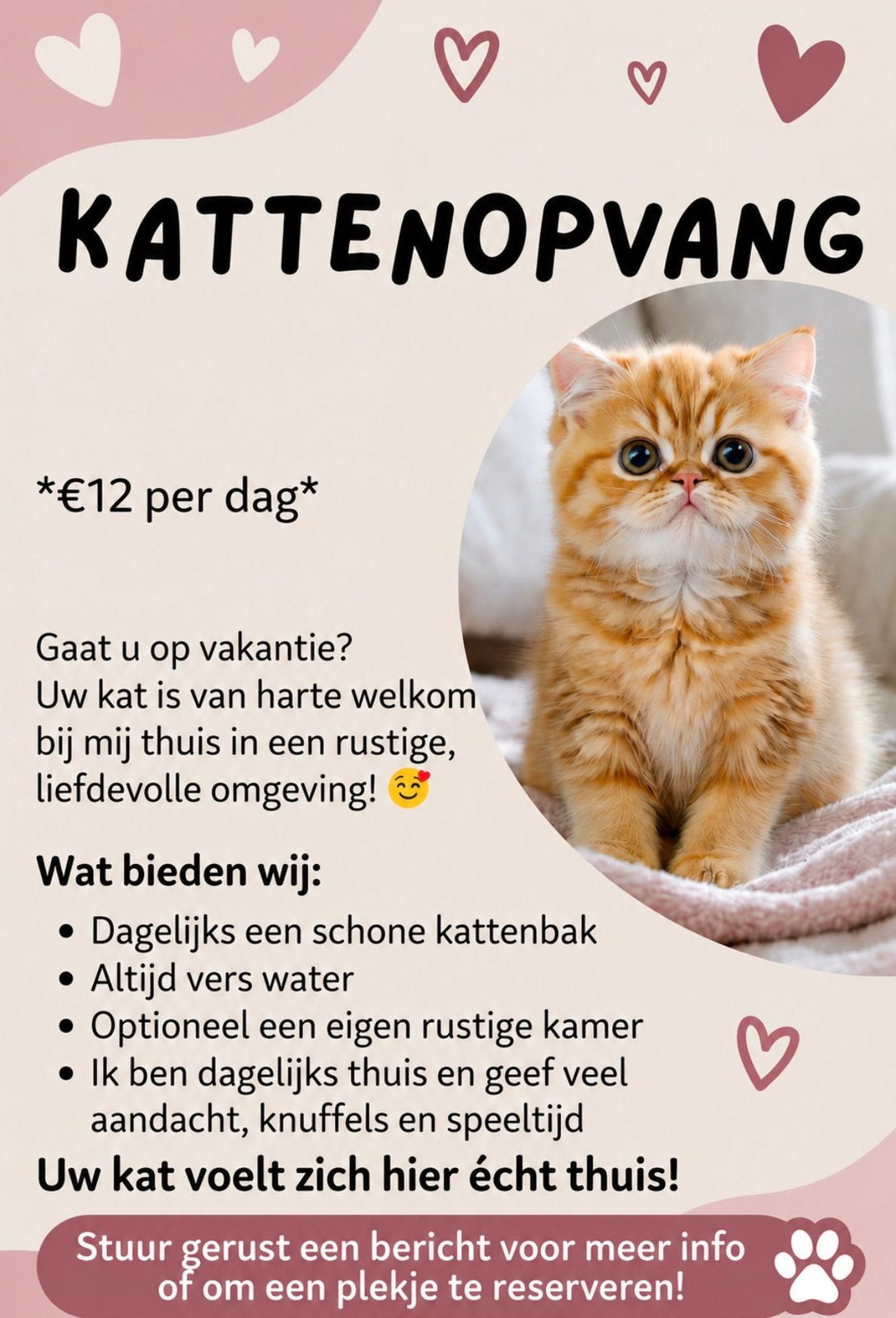 Kattenoppas, Particuliere oppas