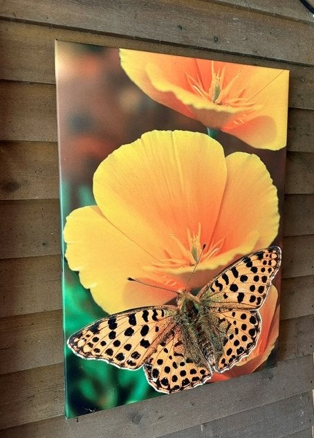 Tuinschilderij, schuttingposter, wanddecoratie tuin 50x70 cm, Ophalen