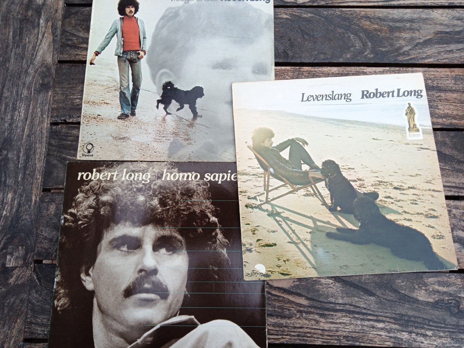 Robert Long LP - Vroeger of Later, Levenslang, Homo Sapiens, LP, Gebruikt, Ophalen of Verzenden, 12 inch