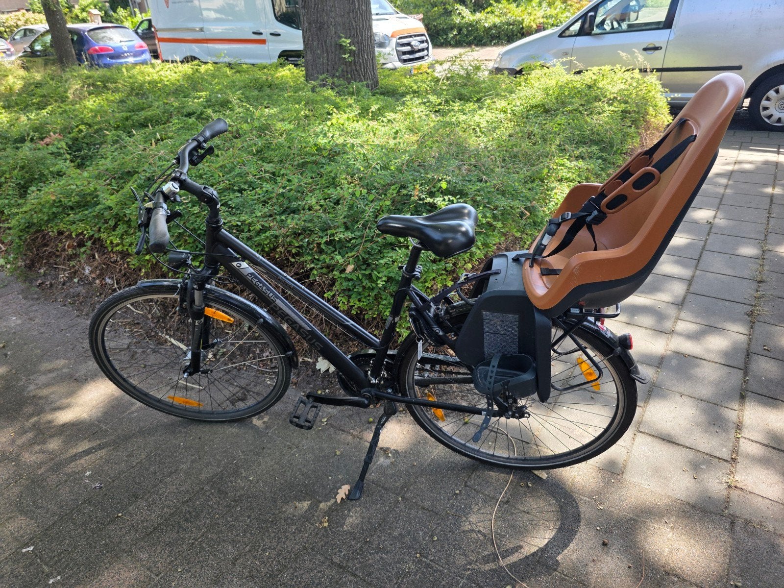 Pegasus Piazza damesfiets m 53, 50 tot 53 cm, Ophalen, Velgrem, Versnellingen