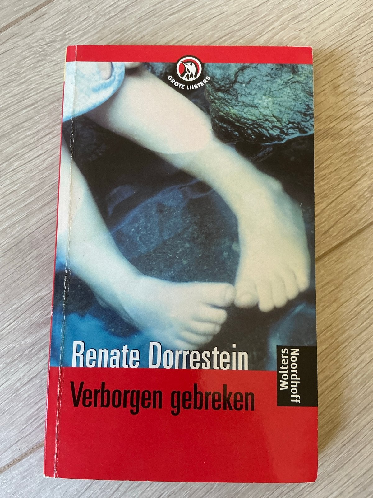 Renate Dorrestein - Verborgen gebreken (Grote Lusters), Ophalen of Verzenden, Gelezen, Nederland
