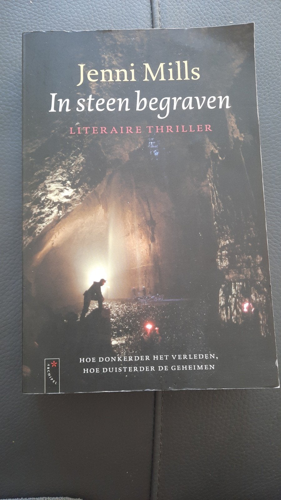 Thriller van JENNI MILLS " In steen begraven ", Gelezen, Europa overig, Ophalen of Verzenden, Jenni Mills