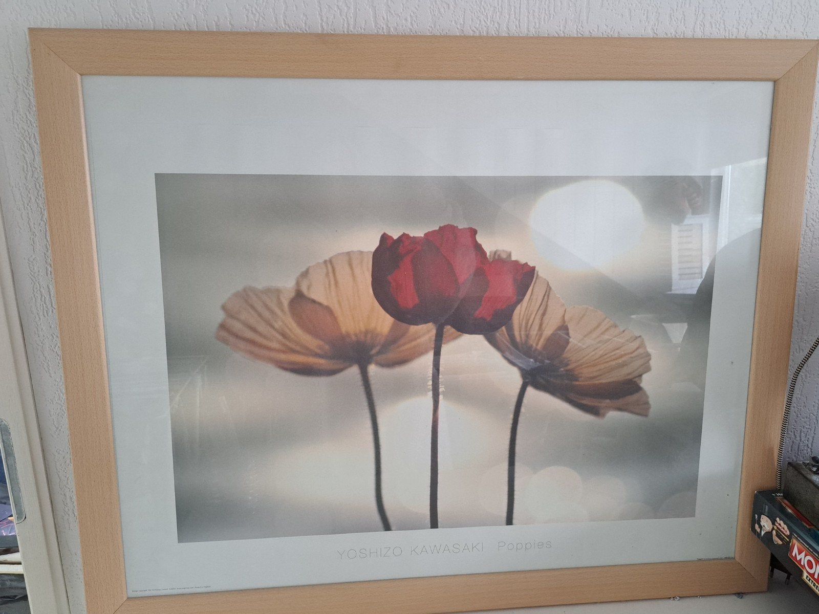 Ingelijste foto van klaprozen door Yoshizo Kawasaki, Ophalen, Foto, Fotografie, Gesigneerd
