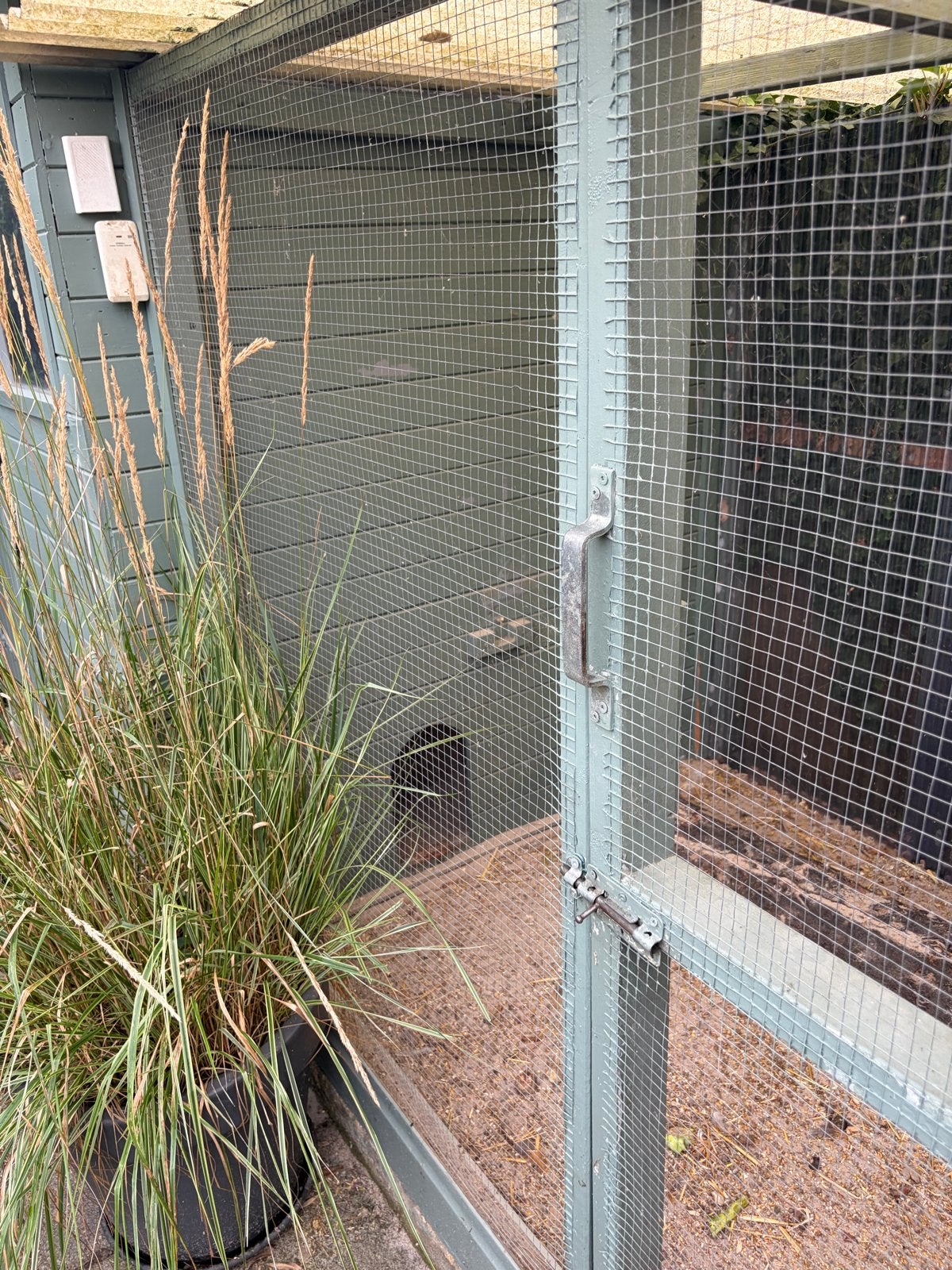 Gratis meenemen maar zelf slopen, Dieren en Toebehoren, Ophalen of Verzenden, Gebruikt, Kippenhok of Kippenren