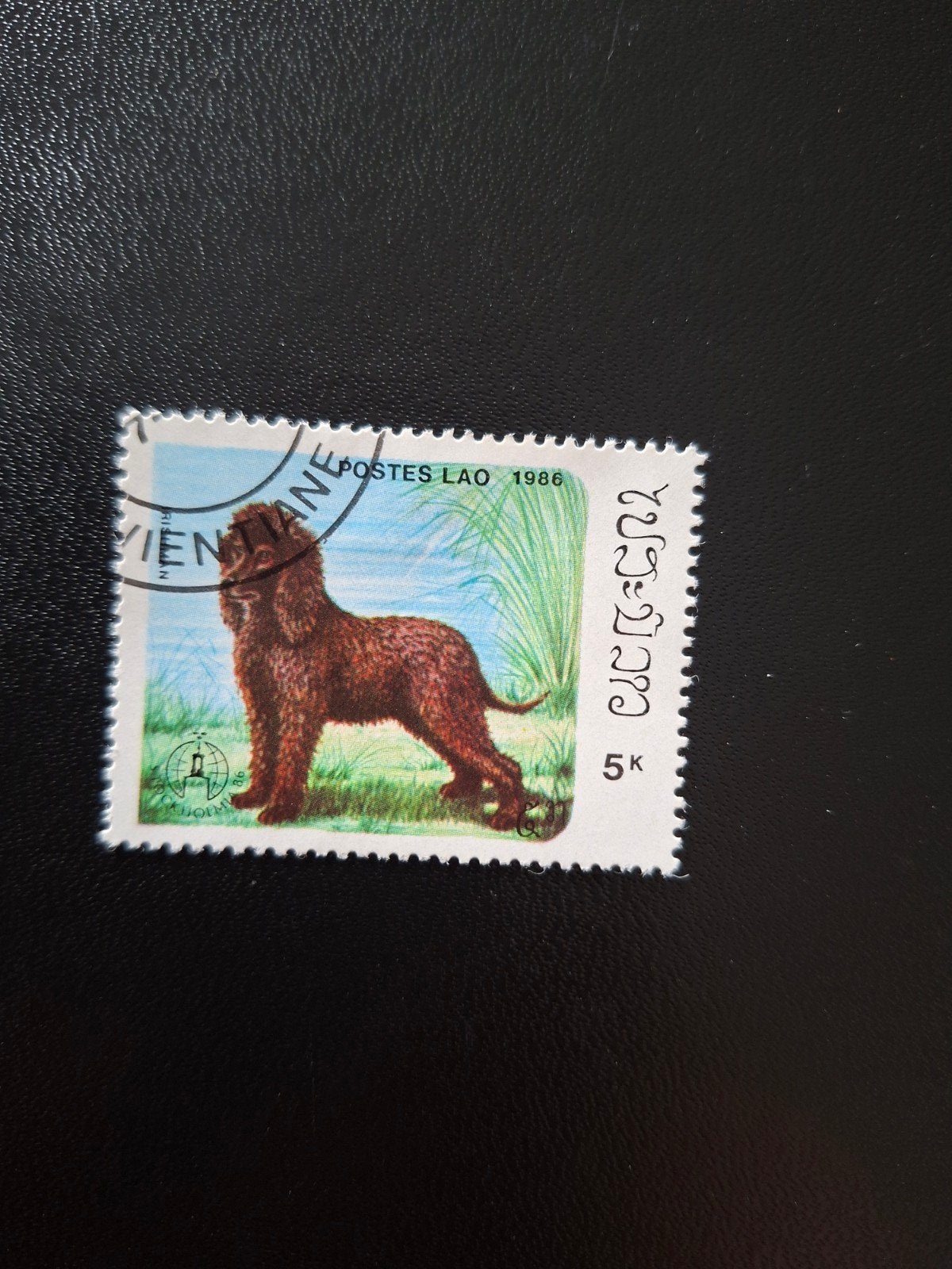 Laos,  hond., Ophalen of Verzenden, Dier of Natuur