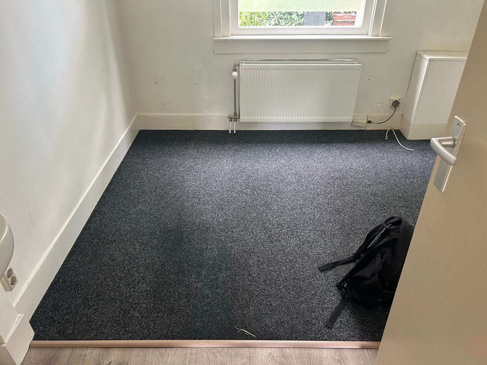 Gratis Tapijt, Ophalen, Gebruikt, Rechthoekig, 200 cm of meer