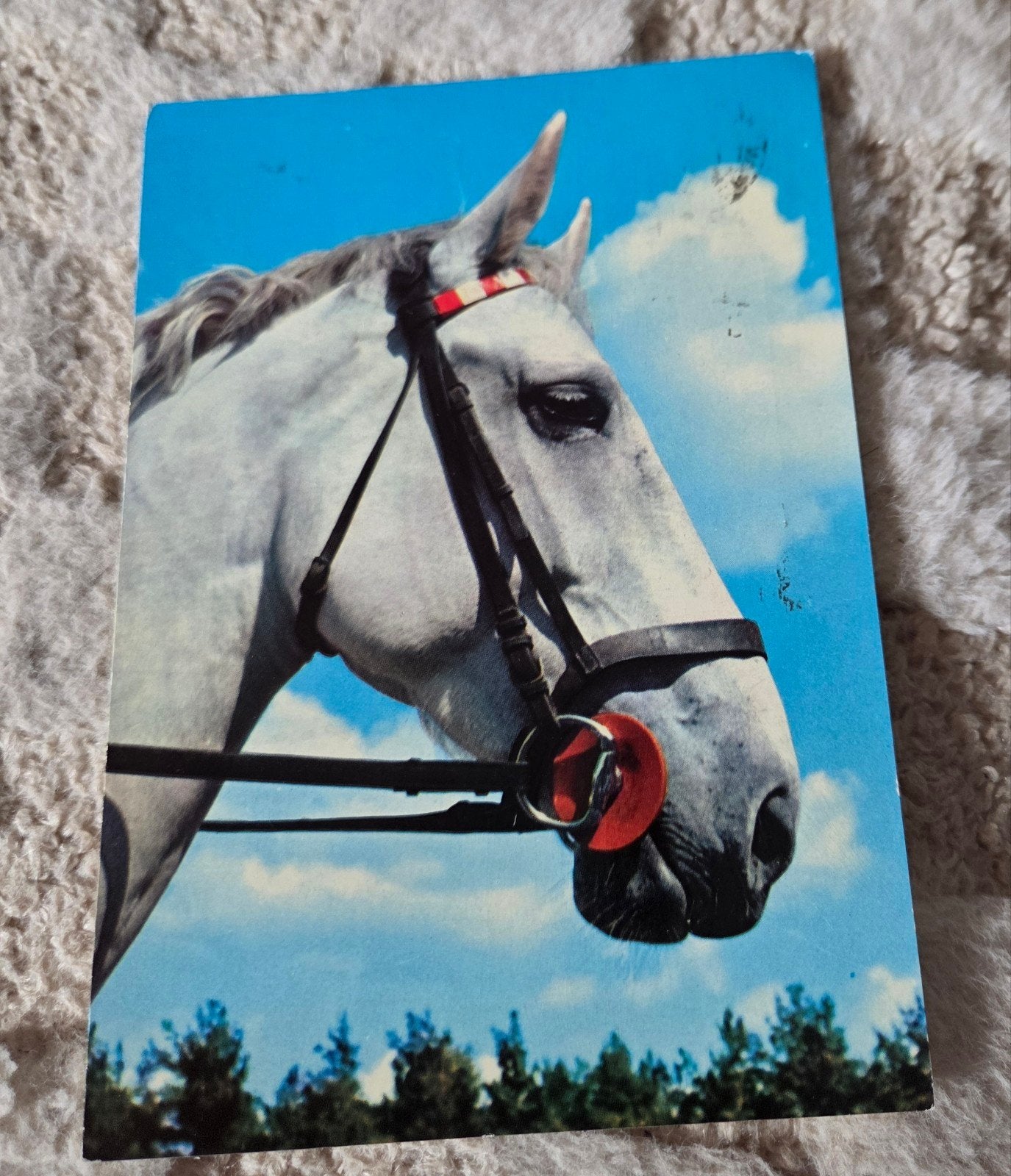 Paard met ruiter, gestempeld 1965, Verzenden, 1960 tot 1980, Gelopen, Paard