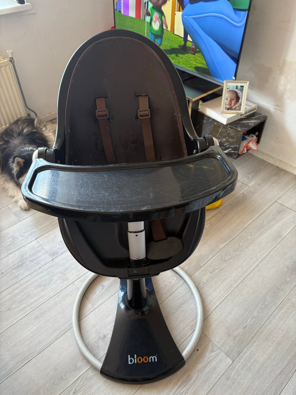 Bloom Fresco kinderstoel met accessoires, Ophalen, Gebruikt, Overige typen, Afneembaar eetblad