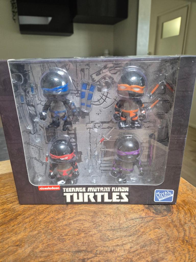 Teenage mutant ninja turtles, Ophalen of Verzenden, Nieuw