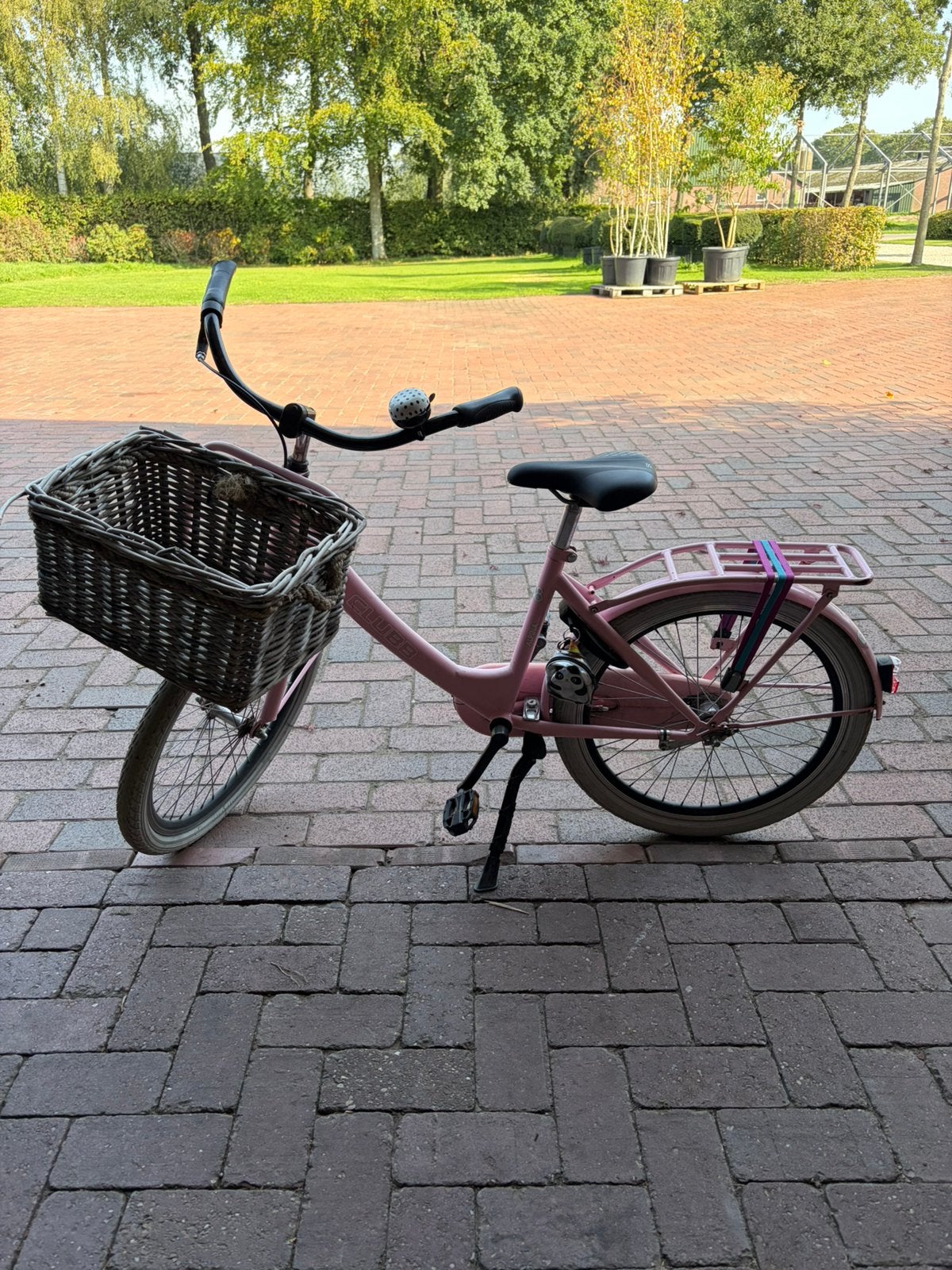 Kinderfiets voor kinderen in de leeftijd van 8 tot 11 jaar., Ophalen, Gebruikt, Terugtraprem, 22 inch