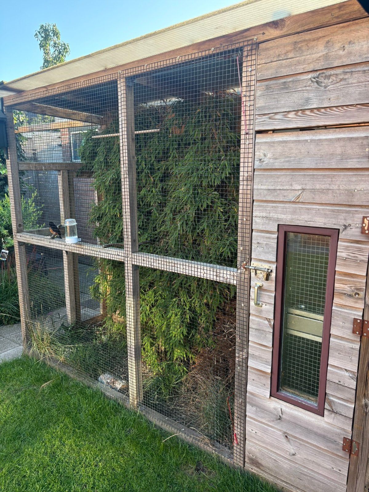 Volière hout geïmpregneerd, Dieren en Toebehoren, Vogels | Hokken en Kooien, Ophalen, Zo goed als nieuw, Aluminium, Volière