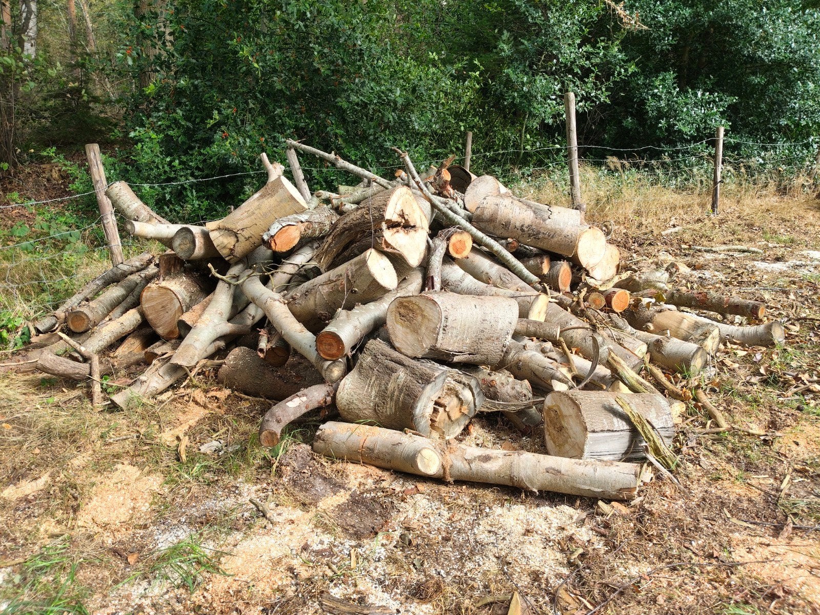 Brandhout Populier/Vogelkers, 3 tot 6 m³, Ophalen