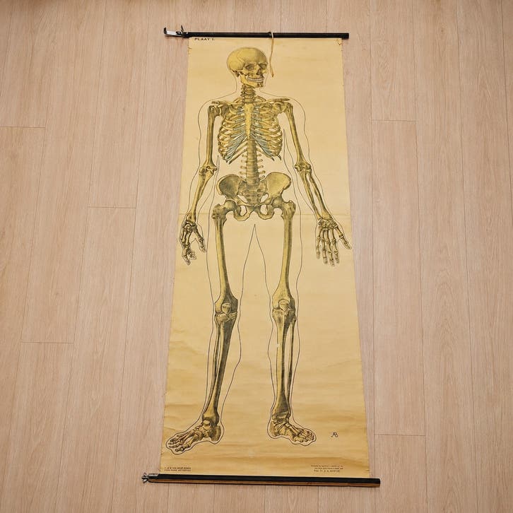 Vintage Anatomische Wandkaart - Menselijk Skelet Schoolplaat