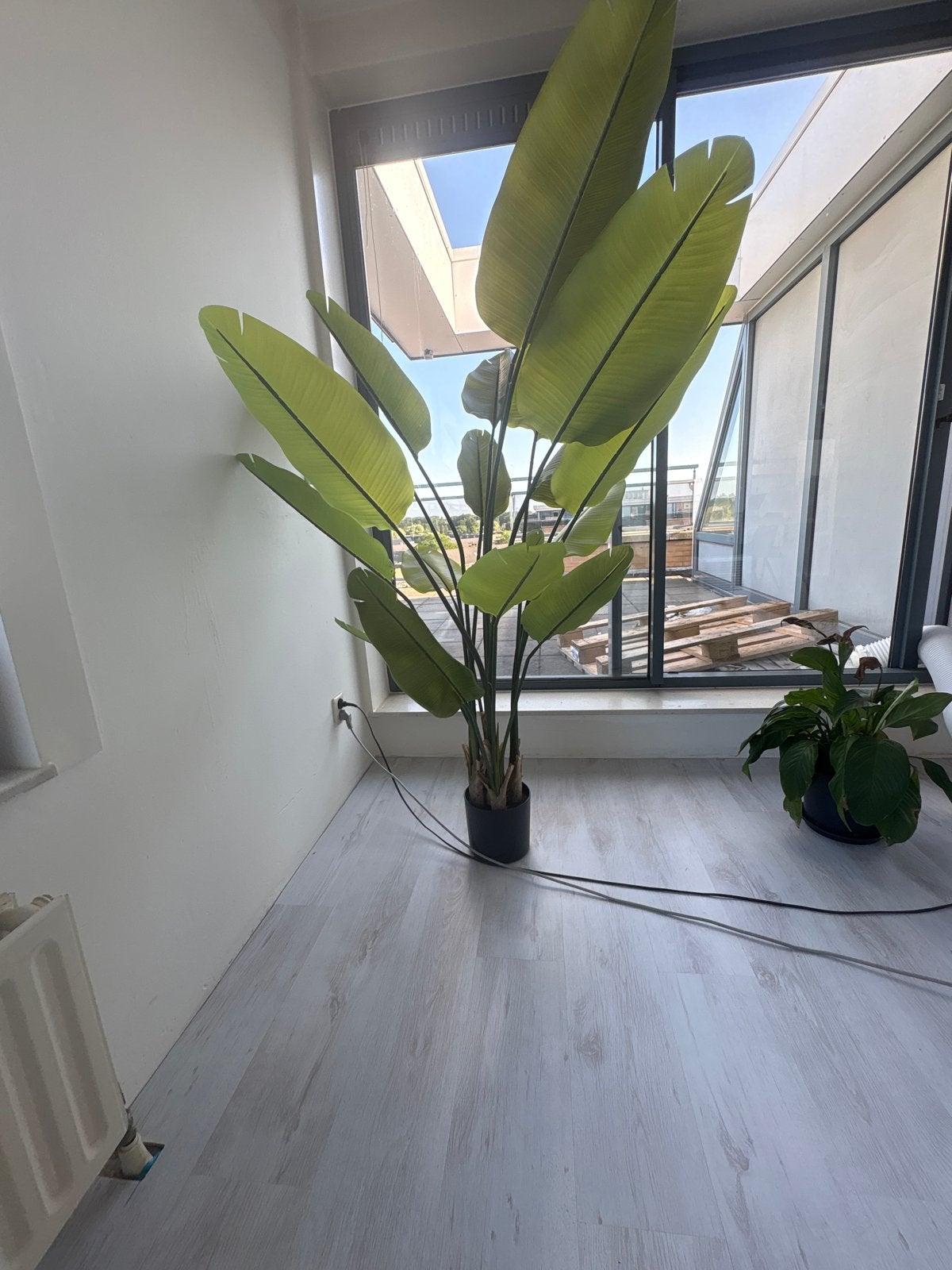 Grote Strelitzia Kunstplant 180cm voor Binnen, Binnen, Groen, Kunstplant, Nieuw