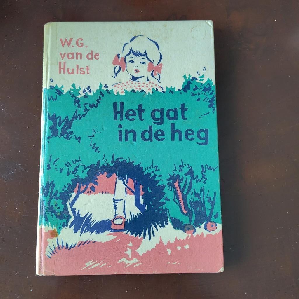 Kinderboek wg van der Hulst, Ophalen of Verzenden, Gelezen