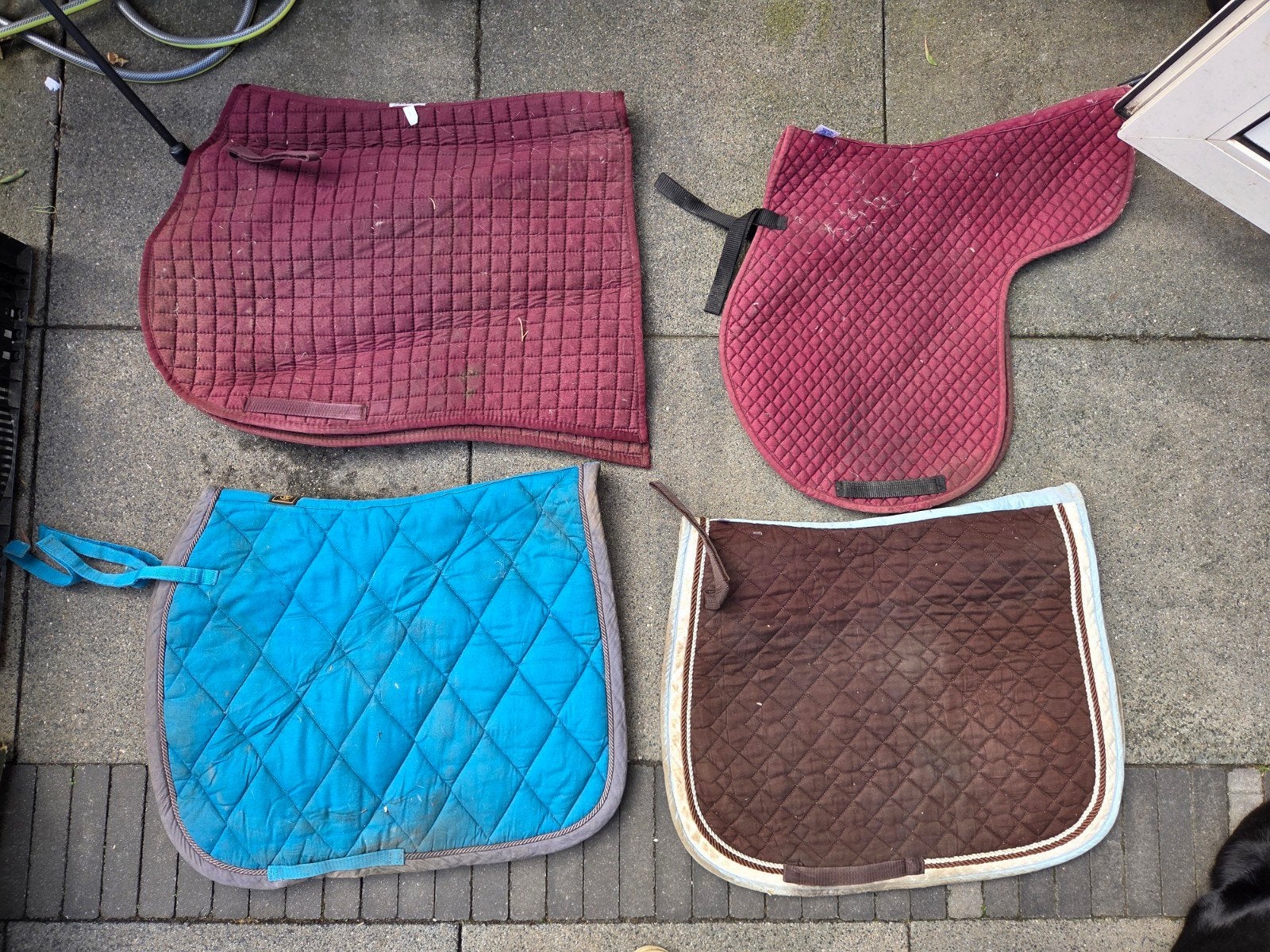 Zadeldekjes, Dieren en Toebehoren, Ophalen