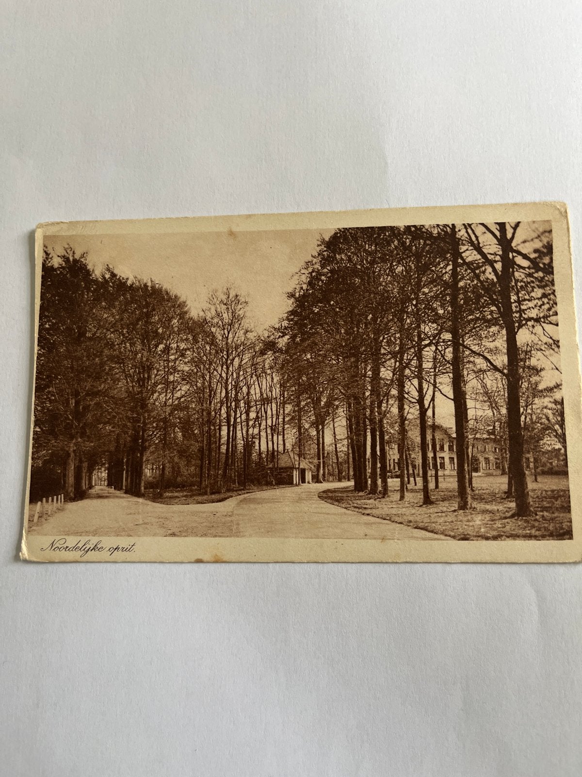 Ansichtkaart Almen Sanatorium P.W. Janssen Ziekenhuis Almen, Verzenden, Voor 1920, Gelopen, Gelderland