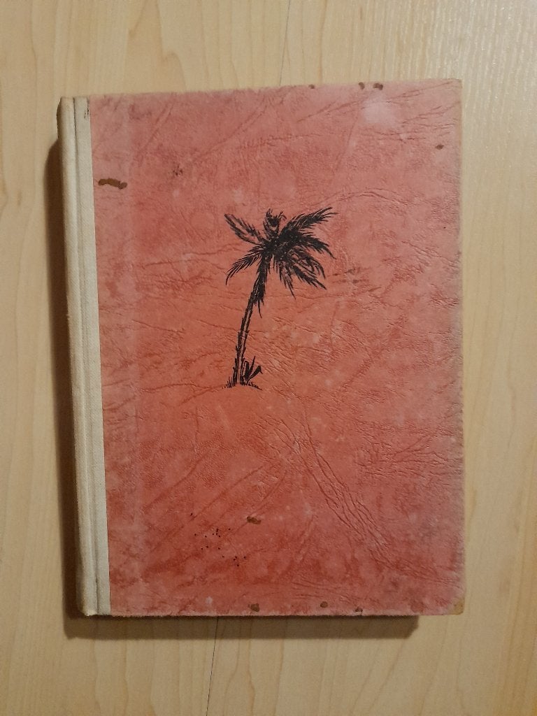 DE FRYSKE ROBINSON CRUSOE SM van der Galien friestalig, Ophalen of Verzenden, Gelezen, Nederland