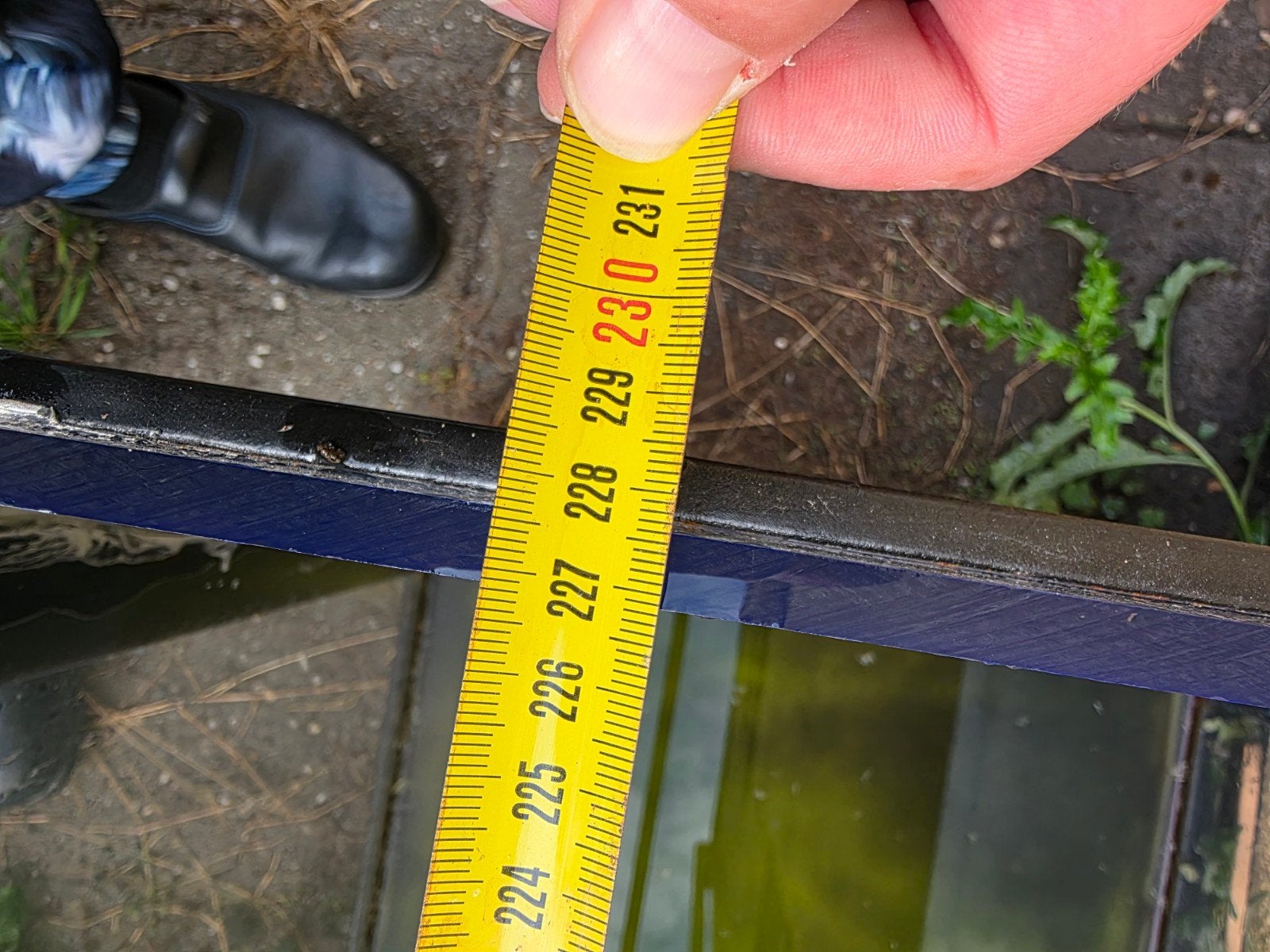 mooi terarium, Ophalen of Verzenden, Gebruikt