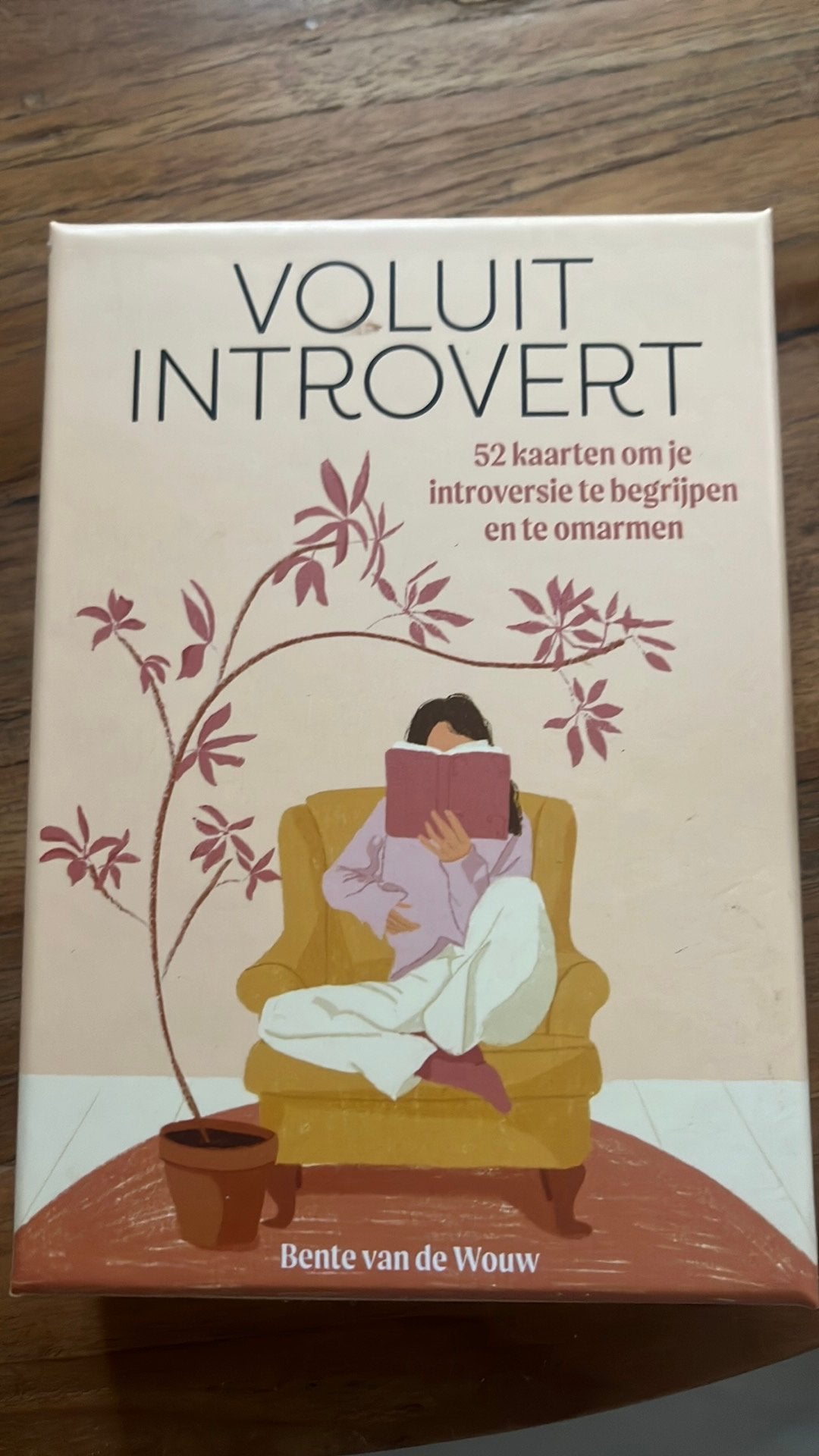 Voluit introvert 52 kaarten om je introversie te omarmen, Ophalen of Verzenden, Zo goed als nieuw, Tarot of Kaarten leggen, Overige typen