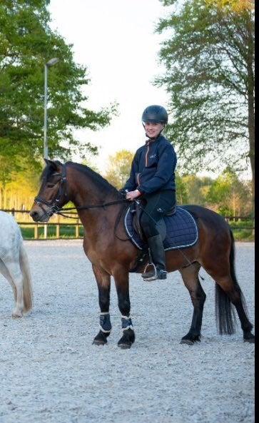 Fijne Dartmoorpony, Dieren en Toebehoren, Met stamboom, Ruin, 3 tot 6 jaar, B pony (1.17m tot 1.27m)