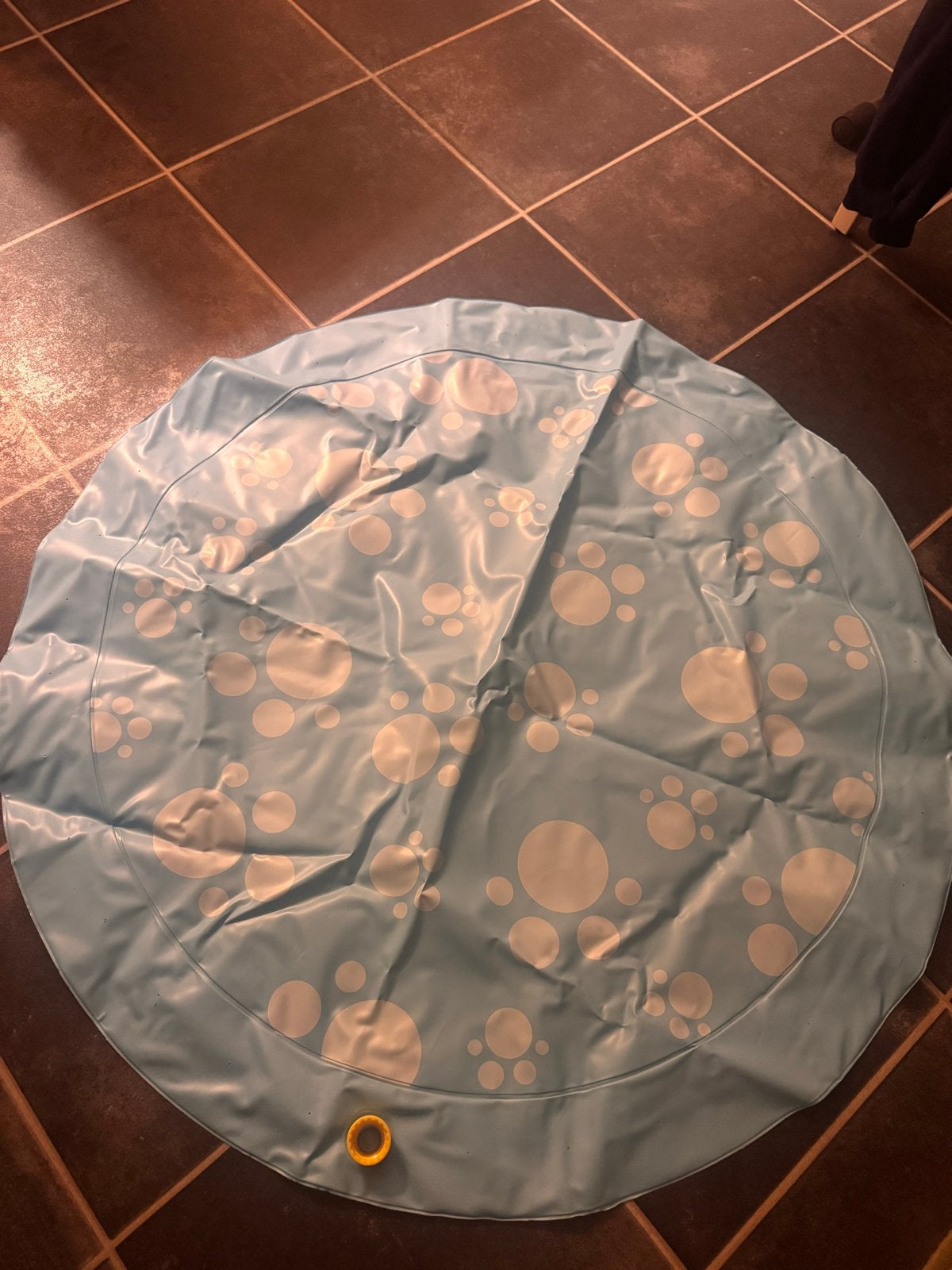 Nieuw opblaasbaar waterspeelmat voor honden, Ophalen of Verzenden, Nieuw