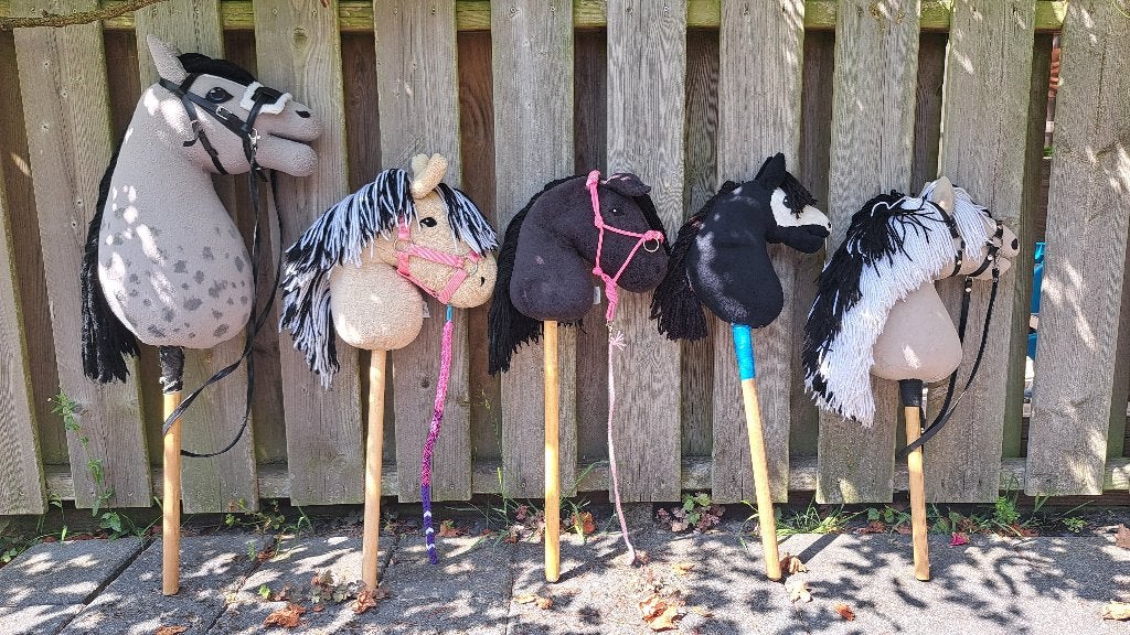 5 x Hobbyhorse, Ophalen, Gebruikt