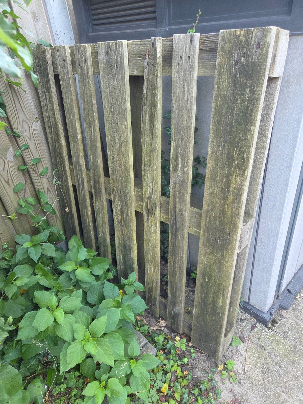 Pallet GRATIS OPHALEN, Tuin en Terras, Ophalen, Minder dan 3 meter, Hout, 1 tot 2 meter
