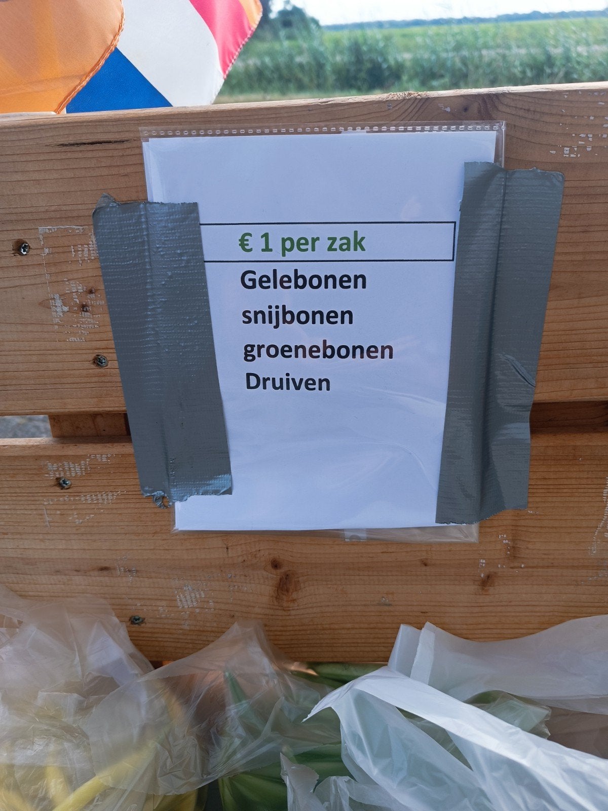 te koop bonen , Druiven, Ophalen, Minder dan 100 cm, Overige soorten, Zomer