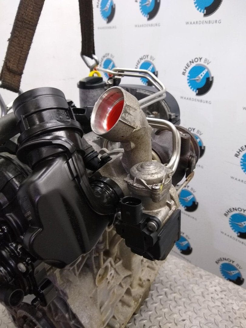 VOLKSWAGEN POLO TURBO 2016, Ophalen of Verzenden, Gebruikt, Stiba lid