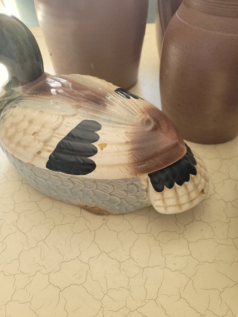 Oude patepot eend Caugant foto 1 t/m 6, Ophalen of Verzenden